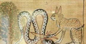Змея с головой дракона. Змеи в мифологии. Священные птицы в индуизме и буддизме