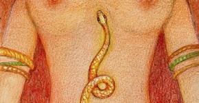 Что означает символ змеи?